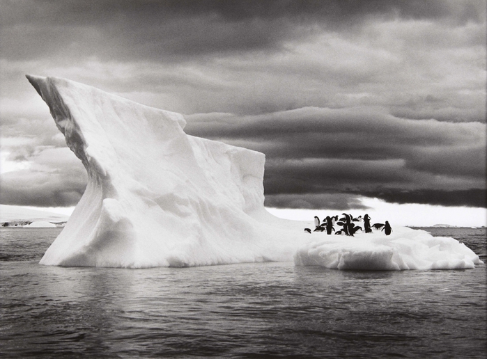 928775_icebergsnearpauletislandantarcticaphotobysebastiaosalgado2005 (700x516, 229Kb)